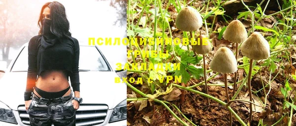 ALPHA PVP Нефтекумск