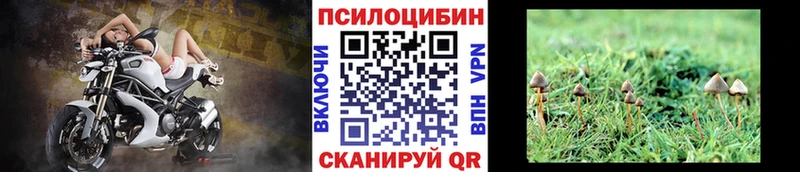 Псилоцибиновые грибы Magic Shrooms  Купить где  Каменск-Уральский 